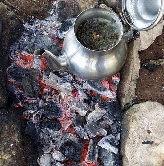Nigeria  Chad Cameroon Market Thé Vert chunmee tea Competitive Factory Pricing